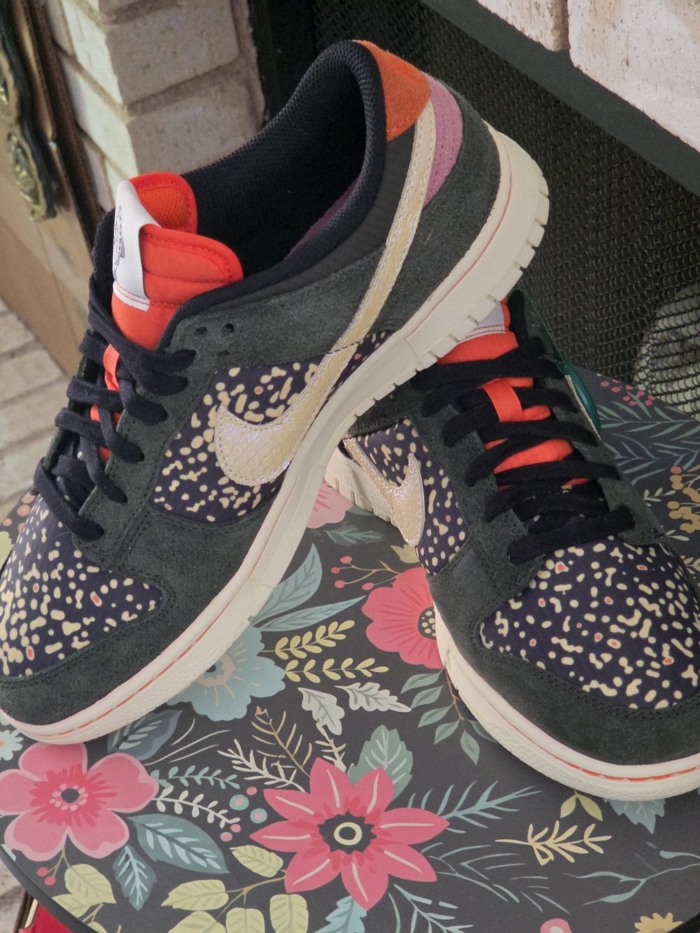 Brand New Nike Dunk "Rainbow Trout" Sneakers
